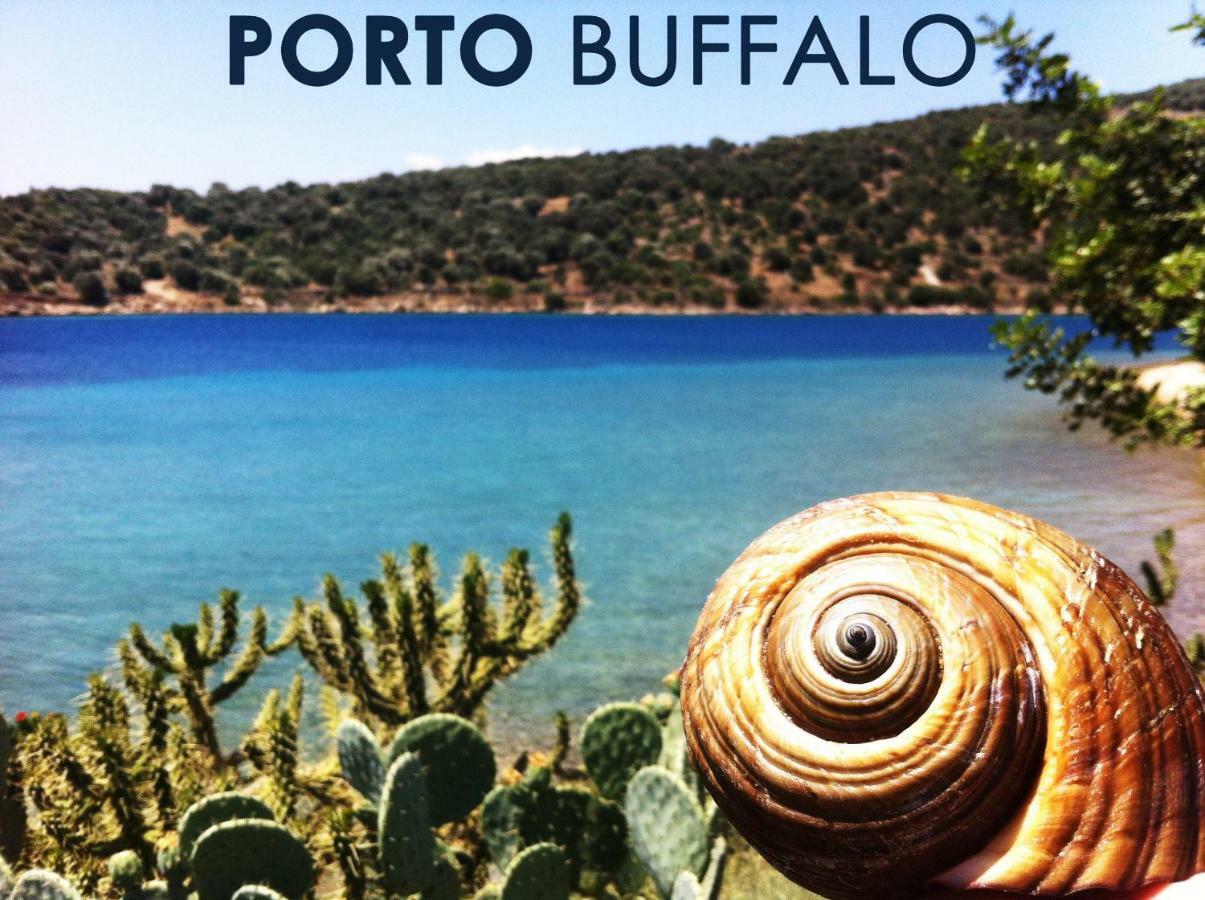 Sea Front Studio - Porto Boufalo - Evia 外观 照片